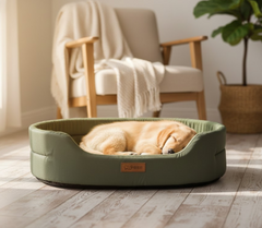 Eco-friendly pet beds