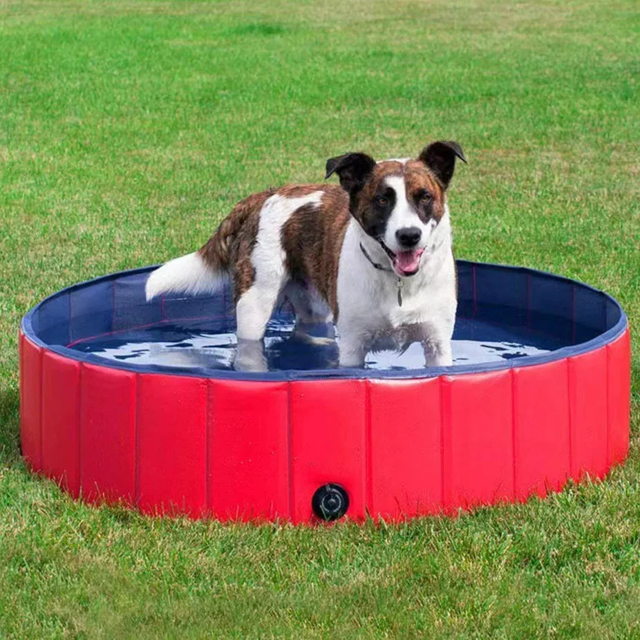 Collapsible dog pool 0