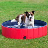 Collapsible dog pool 0