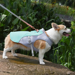 Cooling vest for dogs for outdoor activities 2