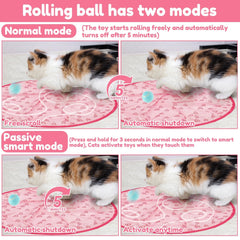 Interactive cat chasing toy with smart ball 2
