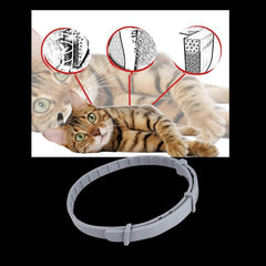 Parasite-repellent collar for pets 3