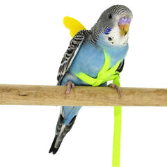 Parrot bird harness 3