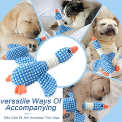 Plush dog chew toy with squeaking sound 3