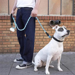 Reflective dog leash with padded handle 1
