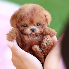 SNGGEPUP - Realistic plush dolls with lifelike details 0