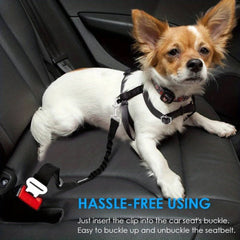 Seatbelt for dogs in the car 1