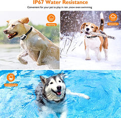 Wireless dog fence with collar 2