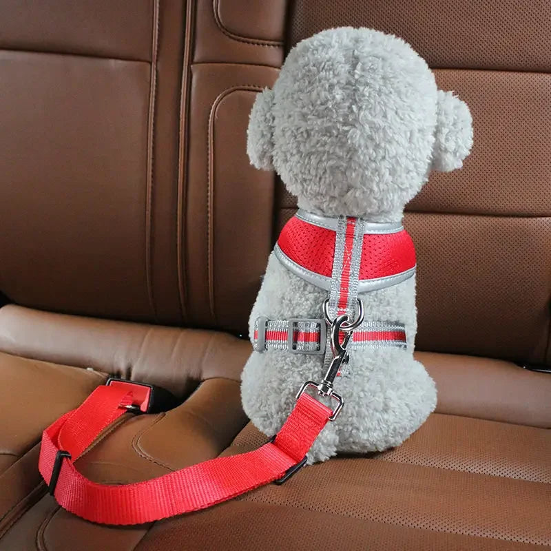 Adjustable seat belt for dogs 1