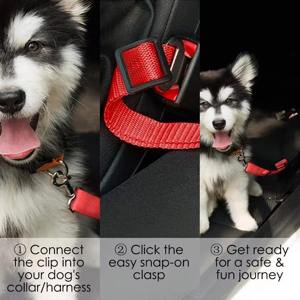 Adjustable seat belt for dogs 4