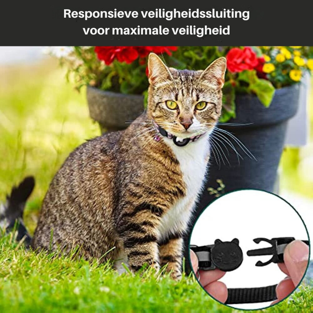 CAT GPS tracker collar with quick release and reflective design for improved night visibility 4