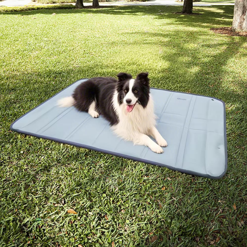 Dog bag for travel 2