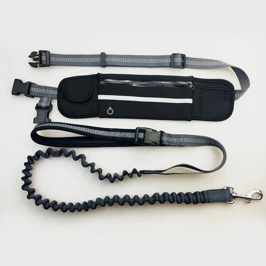 Dog leash with waist belt 1