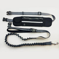 Dog leash with waist belt 1