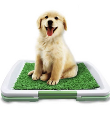Dog toilet with artificial grass 0