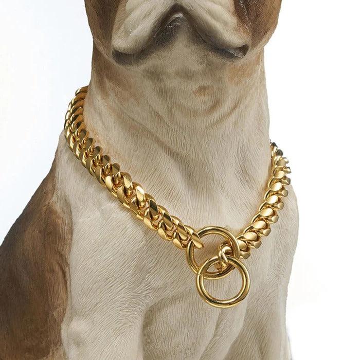 Heavy duty dog collar 1