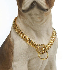 Heavy duty dog collar 1