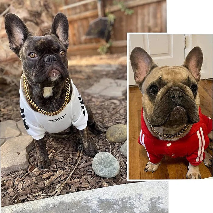 Heavy duty dog collar 2