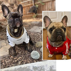 Heavy duty dog collar 2