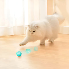 Interactive pet ball, rolls automatically 0
