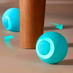 Interactive pet ball, rolls automatically 1