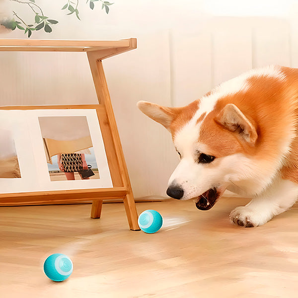 Interactive pet ball, rolls automatically 2