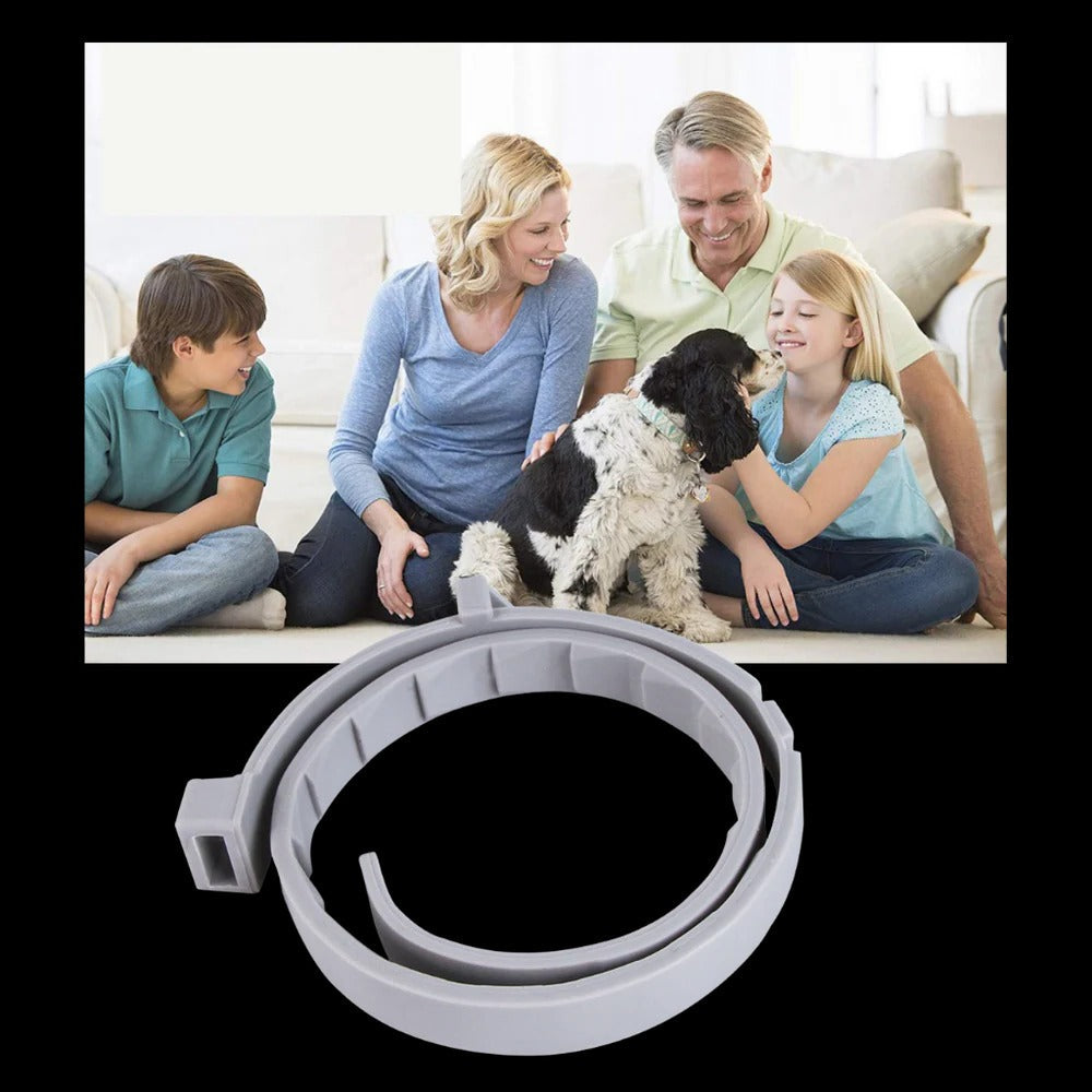 Parasite-repellent collar for pets 5