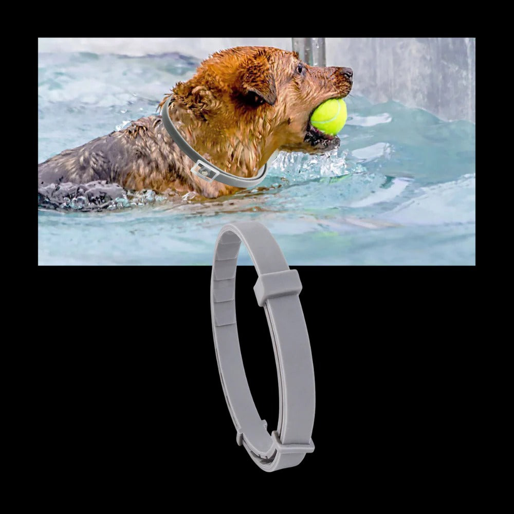 Parasite-repellent collar for pets 6