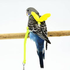 Parrot bird harness 2