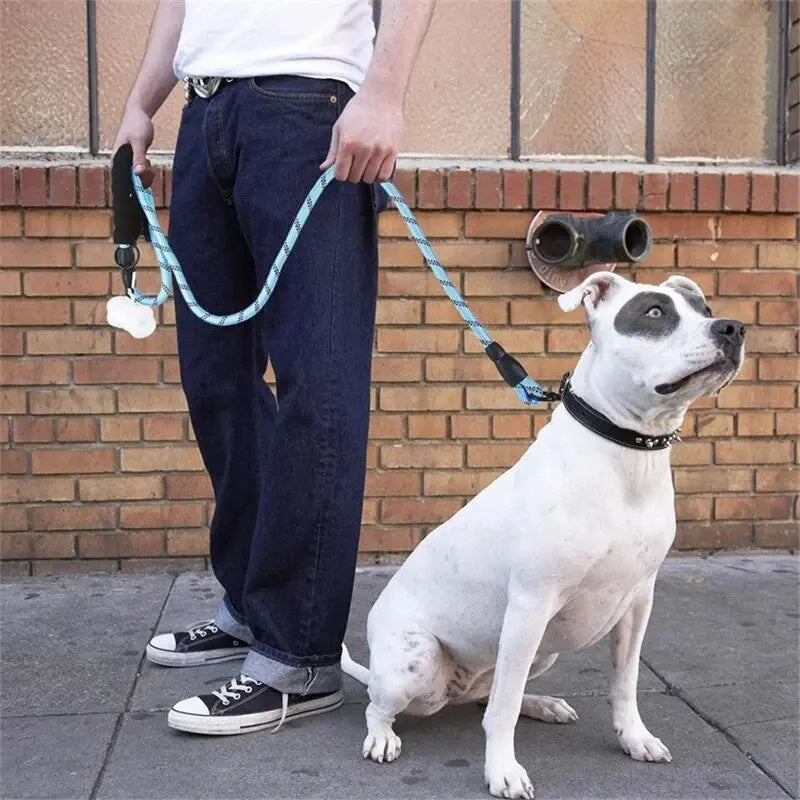 Reflective dog leash with padded handle 1