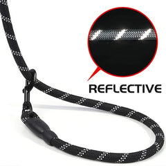 Reflective dog leash with padded handle 3