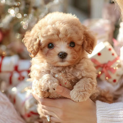 SNGGEPUP - Realistic plush dolls with lifelike details 3