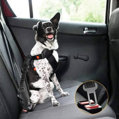 Seatbelt for dogs in the car 3
